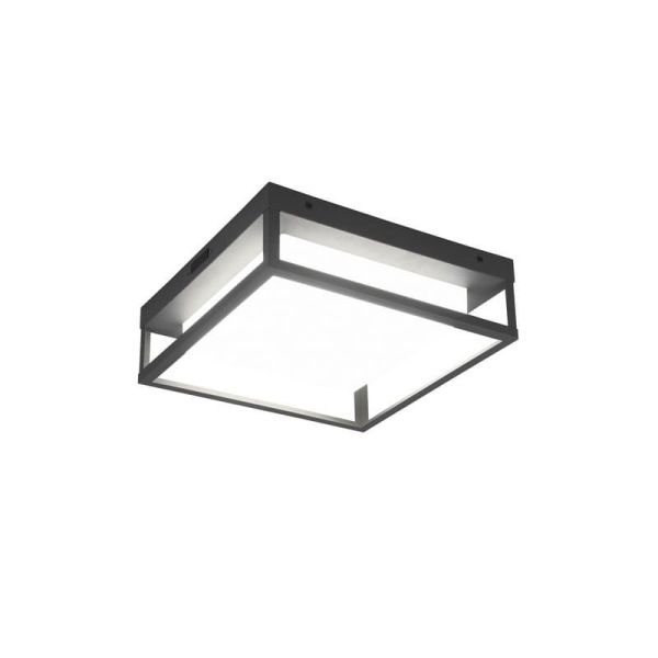 Plafón de techo LED Cuadrado WITHAM IP54 | LeonLeds
