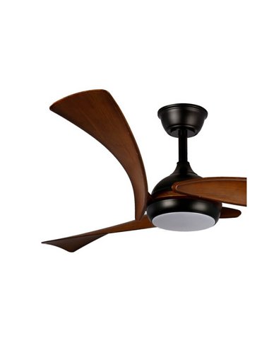 Ventilador de techo LED elegante ENNA Negro con aspas madera oscura 24W 2400Lm CCT Dim