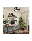 Ventilador de Techo LED MOLL pequeño Negro+Madera 20W 1900Lm CCT Dim