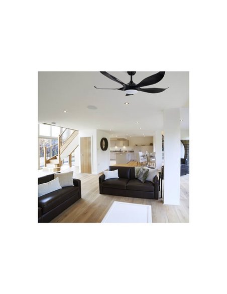 Ventilador de teto grande DC NORO preto LED 20W CCT, para grandes superfícies