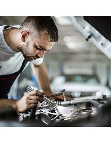 Lampe de poche professionnelle Penlight Premium Color+, en aluminium, résistante aux chocs et aux liquides 180Lm