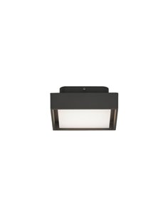 Plafonnier extérieur LED NEXUS 15cm Anthracite Texturé, 10W 3000K 630lm, IP65
