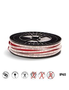 Tira de LED 220V AC SMD2835 Ecofast 10W/m IP65 - 50 Metros Máx. Enlazable (3000K, 4500K, 6000K, Azul, Rojo, Verde) Corte 10Cm 2