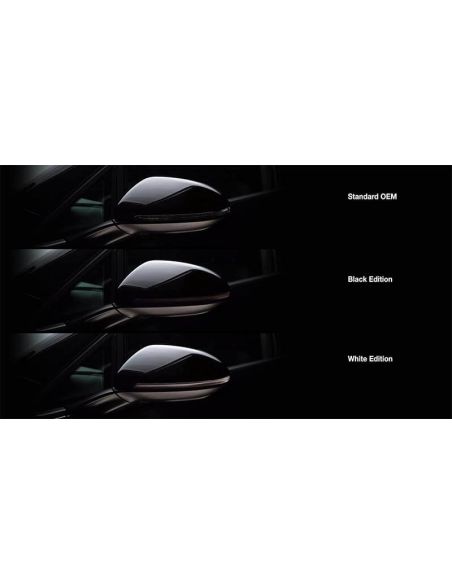 Intermitente dinámico LED para retrovisor acabado Negro LEDriving® LEDDMI 5G0 BK S Homologado Set de 2. Golf VII