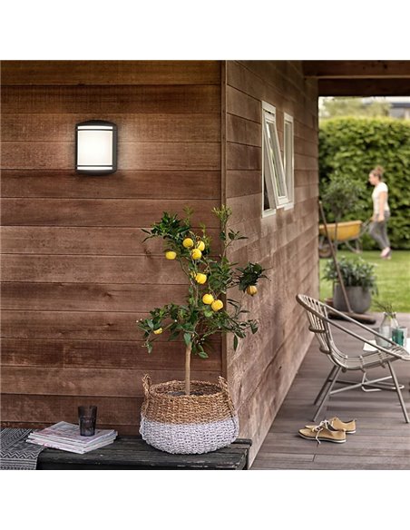 Aplique de pared exterior LED ANTELOPE 4000K 6W, estanco al agua