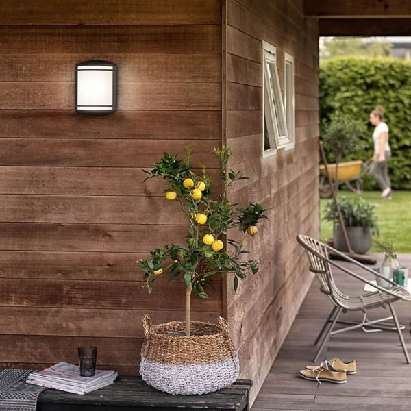 Aplique de pared exterior LED ANTELOPE 4000K 6W, estanco al agua