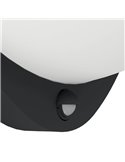 Lámpara de pared exterior LED BELCREDA semicircular antracita con sensor de movimiento