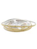Tira LED Cob 24V 256 LED/m 5 metros interior IP20 iluminación decorativa alta luminosidad