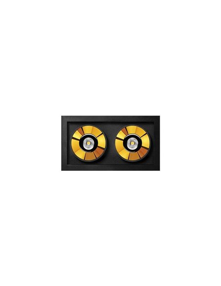 Downlight LED empotrable BLACK FOSTER REC 2 Luces SPOT 2700K/3000K/4000K Surtido de Colores, Regulable/No Regulable