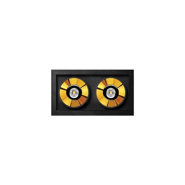 Downlight LED empotrable BLACK FOSTER REC 2 Luces SPOT 2700K/3000K/4000K Surtido de Colores, Regulable/No Regulable