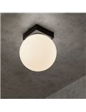 Plafón de Techo/Aplique de Pared LED PUEBLA  6W 3000K negro/oro satinado
