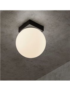 Plafón de Techo/Aplique de Pared LED PUEBLA  6W 3000K negro/oro satinado 2