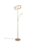 Cabezal de luz regulable de la lámpara LED WILLIS para un ambiente perfecto.