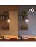 Bombilla LED inteligente E14 esférica RGB con Wiz, Wi-Fi y Bluetooth Regulable E14 Philips Smart