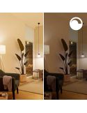 Bombilla LED inteligente E14 esférica RGB con Wiz, Wi-Fi y Bluetooth Regulable E14 Philips Smart