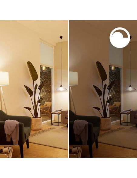 Bombilla LED inteligente E14 esférica RGB con Wiz, Wi-Fi y Bluetooth Regulable E14 Philips Smart
