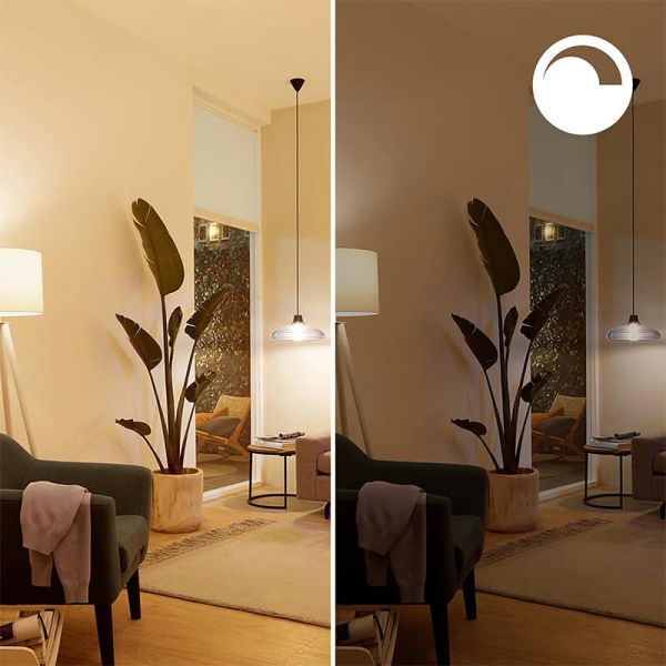 Bombilla LED inteligente E14 esférica RGB con Wiz, Wi-Fi y Bluetooth Regulable E14 Philips Smart