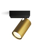 Spot de salle de bain individuel IDRIS pour plafond/mur, GU10 (non inclus) Or et noir, ClickFix