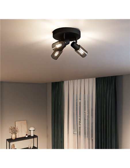 Plafonnier, avec 3 spots allongés en verre fumé noir PALMS 3xE14 (Non inclus), ClickFix