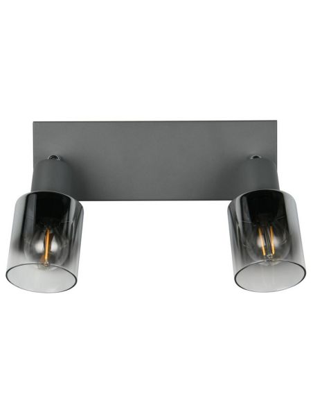Regleta de Techo Orientable 2 Focos CADIZ Pantalla Ahumada 2xE14 | LeonLeds
