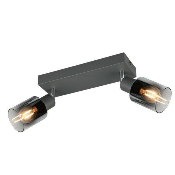 Regleta de Techo Orientable 2 Focos CADIZ Pantalla Ahumada 2xE14 | LeonLeds