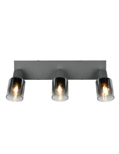 Regleta de Techo Orientable 3 Focos CADIZ Pantalla Ahumada 3xE14 | LeonLeds