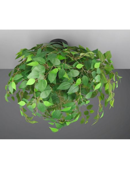 Plafón Techo Hojas de Planta LEAVY Ø70cm 3xE14 max. 28W | LeonLeds