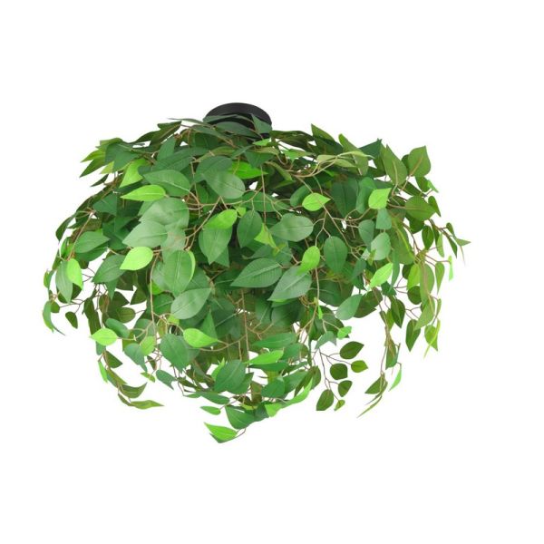 Plafón Techo Hojas de Planta LEAVY Ø70cm 3xE14 max. 28W | LeonLeds