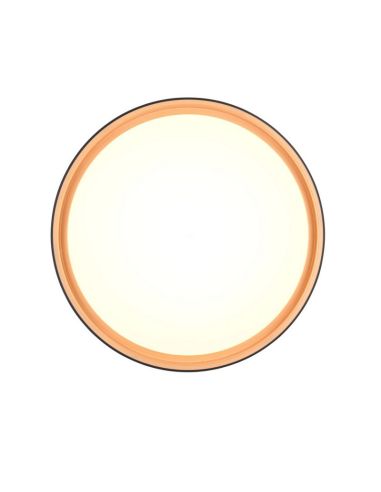 Plafón LED Redondo FELIX Ø40cm 24W 2500lm Regulable | LeonLeds