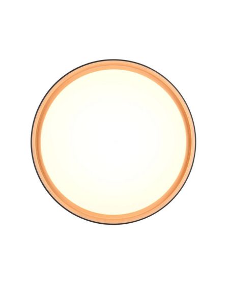 Plafón LED Redondo FELIX Ø40cm 24W 2500lm Regulable | LeonLeds