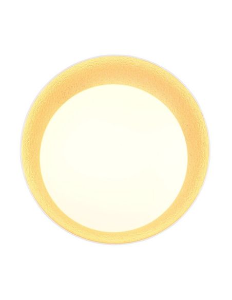 Plafón LED ALETA Ø45cm Regulable Luz Nocturna 24W | LeonLeds