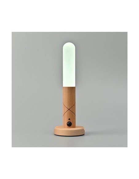 Lampe portative/applique murale/de table/lampe de poche LED avec capteur PIR et aimants ROD, 1W, 100Lm CCT