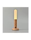 Lampe portative/applique murale/de table/lampe de poche LED avec capteur PIR et aimants ROD, 1W, 100Lm CCT