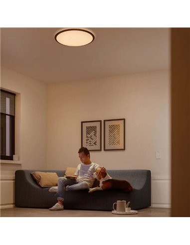 Plafonnier LED rond CANAVAL 18W, 1800Lm, 2700K/4000K, Blanc, Gradable, SceneSwitch