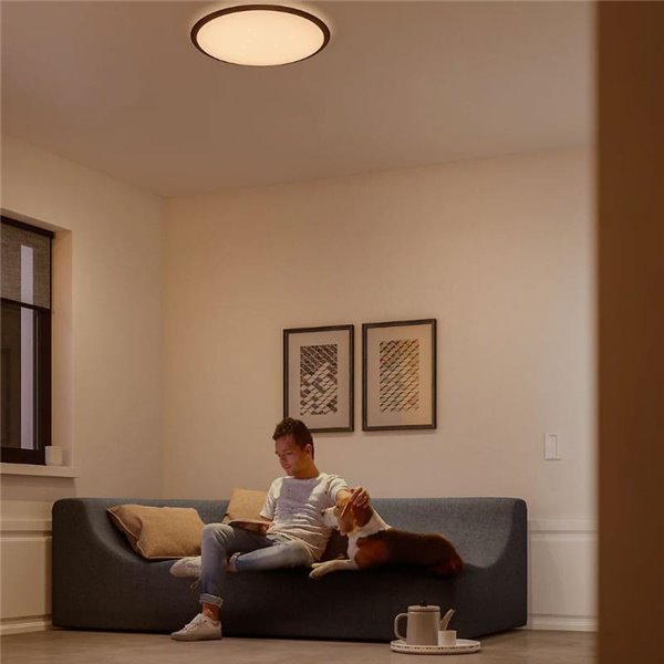 Plafón redondo LED 18W CANAVAL, 1800Lm, 2700K/4000K, Blanco, Regulable, SceneSwitch