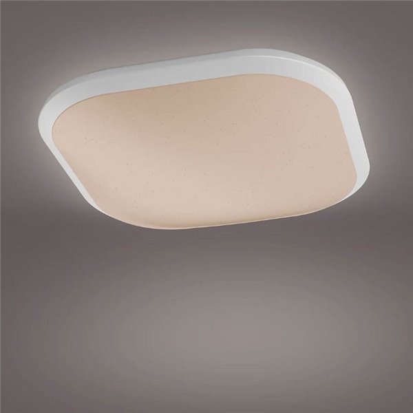 Plafonnier LED carré CANAVAL 18W, 1800Lm, 2700K, Blanc, Gradable, SceneSwitch