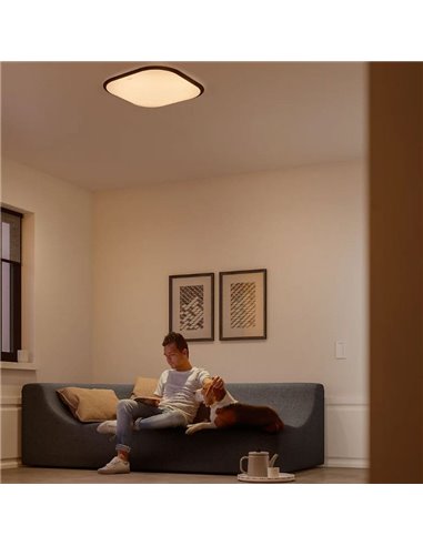 Plafon LED quadrado CANAVAL 18W, 1800Lm, 2700K, branco, regulável, SceneSwitch