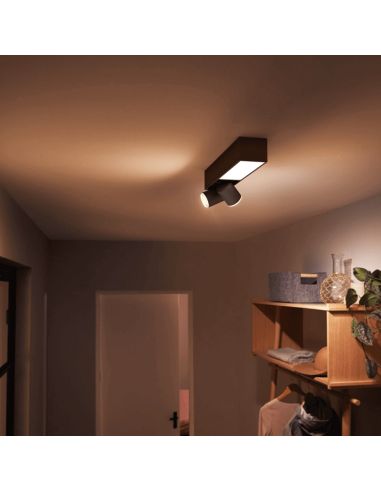 Plafón LED Negro Centris Hue 2L 1.560Lm Control por Voz Philips Hue regulable