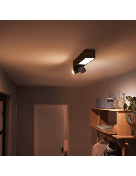 Plafón LED Negro Centris Hue 2L 1.560Lm Control por Voz Philips Hue regulable