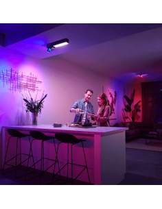 Plafón LED Negro Centris Hue 2L 1.560Lm Control por Voz Philips Hue RGB 2