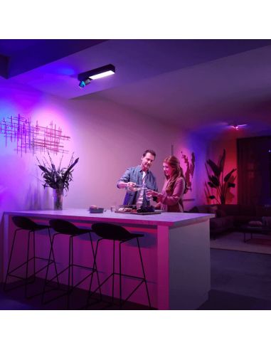 Plafonnier LED noir Centris Hue 2L 1 560Lm Commande vocale Philips Hue ambient