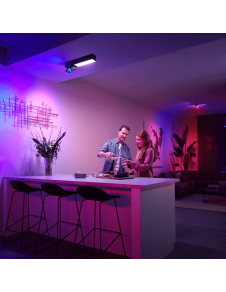 Plafón LED Negro Centris Hue 2L 1.560Lm Control por Voz Philips Hue ambiente