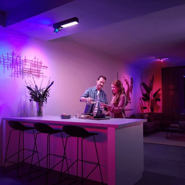 Plafonnier LED noir Centris Hue 2L 1 560Lm Commande vocale Philips Hue ambient