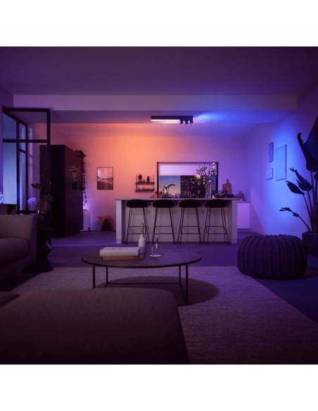 Plafón de techo LED integrado Centris Hue blanco 36W en un salón | LeonLeds