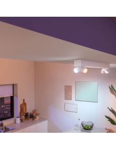 Plafón de techo LED regulable Centris blanco 40W | LeonLeds 2