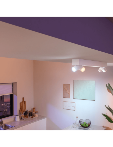 Plafón de techo LED regulable Centris blanco 40W en un salón| LeonLeds