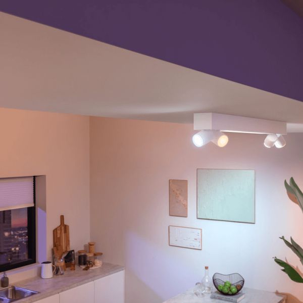 Plafón de techo LED regulable Centris blanco 40W en un salón| LeonLeds