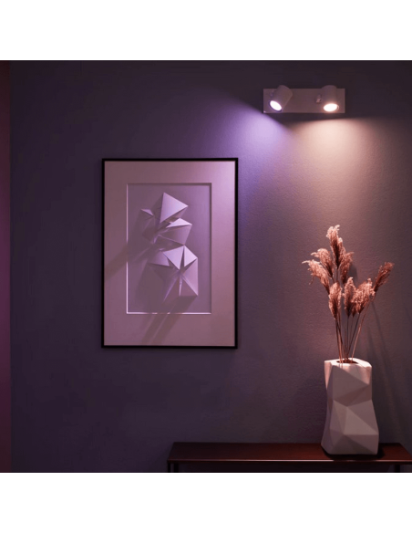 Spot intelligent 2 lumières Argent lumière allumée | LéonLeds