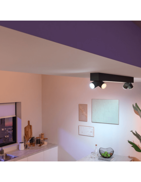 Plafonnier LED intelligent Philips Hue Centris noir Détails du produit