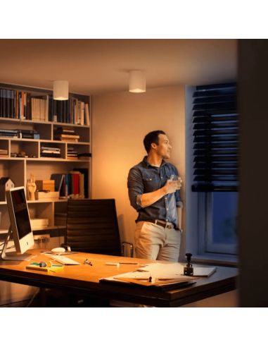 Spot LED intelligent simple Pillar White Hue Lumière blanche et chaude dans un bureau